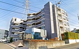 アルブル朝霞