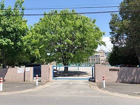 川口市立飯仲小学校 徒歩10分。 800m