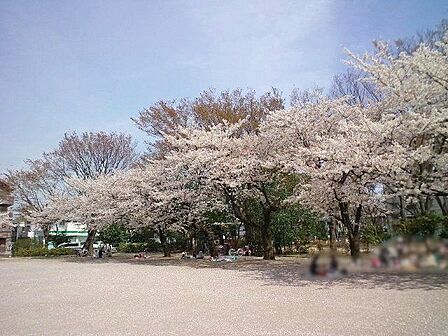 成増北第一公園 徒歩12分。 940m