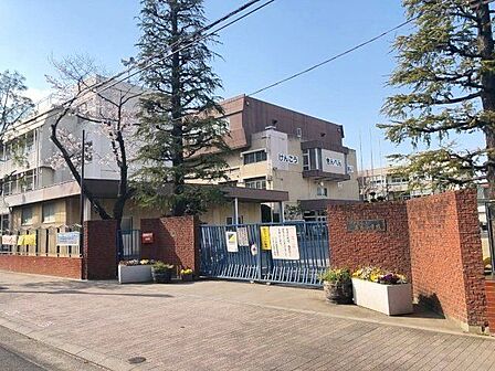 川口市立並木小学校 徒歩14分。 1100m