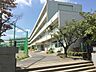 周辺：志木市立志木中学校 徒歩4分。 290m
