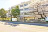 周辺：朝霞市立朝霞第三小学校 徒歩5分。 350m