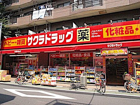 ツルハドラッグ練馬北町店 徒歩6分。 430m