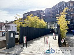 アデニウム和光