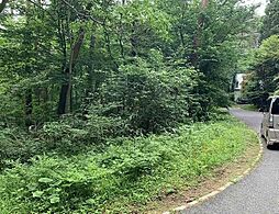 ロイヤルシティ大山リゾート内　C-53　50万円