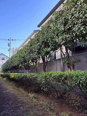 設備 豪徳寺アムフラット 1階/-