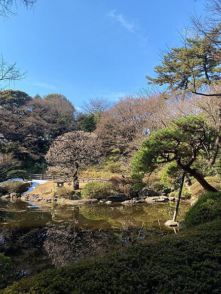 東京都庭園美術館日本庭園