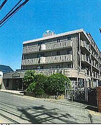 グローバル五香