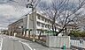 周辺：【小学校】堺市立 三国丘小学校まで407ｍ