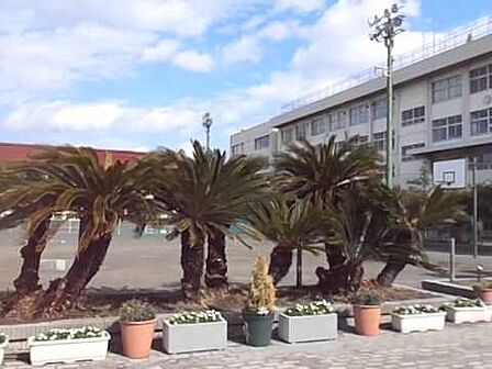 ■市川市立高谷中学校・約1600m