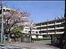 周辺：さいたま市立上里小学校（730m）