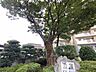 その他：豊かな緑が心地よい木陰をつくりだし穏やかな時間が流れる寛ぎの空間