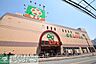 周辺：ライフ経堂店 徒歩7分。スーパー 540m