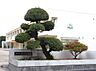 周辺：刈谷市立衣浦幼児園（560m）