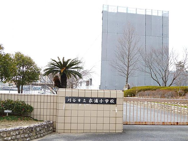 周辺を拡大表示