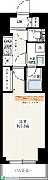 ブライズ亀戸ドゥエ 1Kの間取図画像