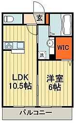 ディアコートM 1LDKの間取図画像