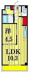 Regulus幕張 4階1LDKの間取り