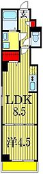 アルカンシエル幕張 3階1LDKの間取り