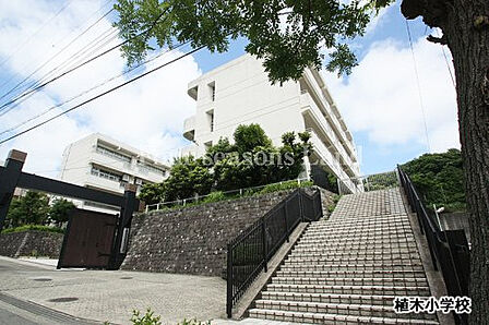 鎌倉市立植木小学校まで約1161m