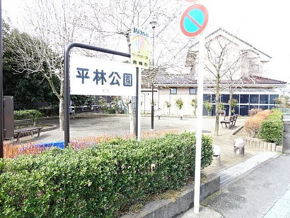 平林公園道路沿...