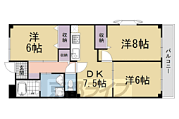 ラ・アルコバレーノ 3DKの間取図画像