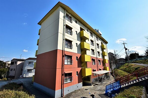 大阪府羽曳野市野々上3丁目(賃貸マンション1LDK・2階・39.00㎡)の写真 その1