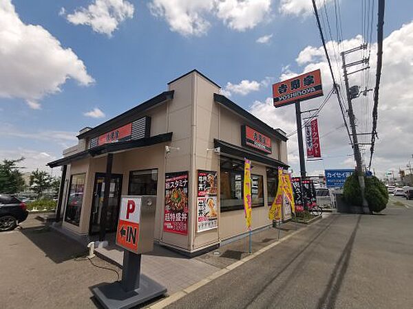 画像25:【ファミリーレストラン】吉野家 羽曳野店まで904ｍ