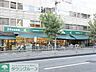 周辺：マルエツプチ雑司が谷二丁目店 徒歩6分。スーパー 430m
