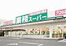 周辺：【スーパー】業務スーパーＴＡＫＥＮＯＫＯ奈佐原店まで735ｍ