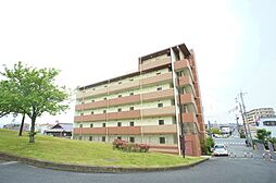 展望