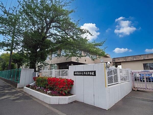 周辺を拡大表示
