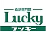 周辺：ラッキー寝屋川店(スーパー)まで539m