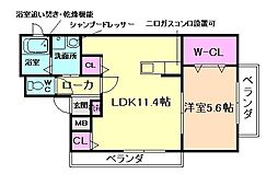 メイプルホームズ2 1LDKの間取図画像