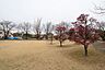 周辺：萬葉公園 870m