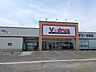 周辺：Vドラッグ大口店 220m