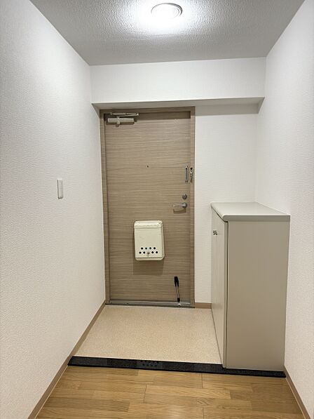 【玄関】玄関は下駄箱付きなので、散らかりがちな玄関をすっきりと片付けられます。下駄箱の上には、観葉植物やお気に入りの写真などを飾っておけるスペースがあります。