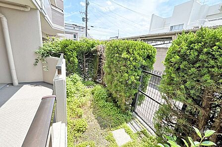 庭［2026年5月26日撮影］