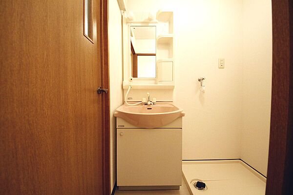 画像14:便利なシャワー付きの洗面台です