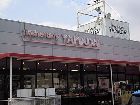 ヤマダイ　青山店10：00～20：00 510m