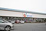 周辺：カワチ薬品船橋坪井店 徒歩11分。 820m