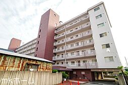 原木キャピタルコータース
