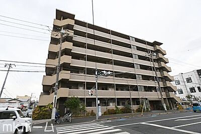 外観:マンション外観 外観:マンション外観