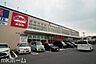 周辺：おっ母さん食品館北柏店 徒歩10分。 800m