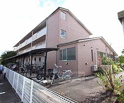 リュウライフ中川