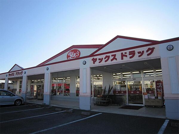 画像21:ヤックスドラッグつくば高見原店（555m）