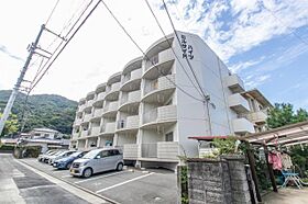 ヒルサイドハイツ 205 ｜ 徳島県徳島市南佐古七番町3-4（賃貸マンション1DK・2階・37.00㎡） その17