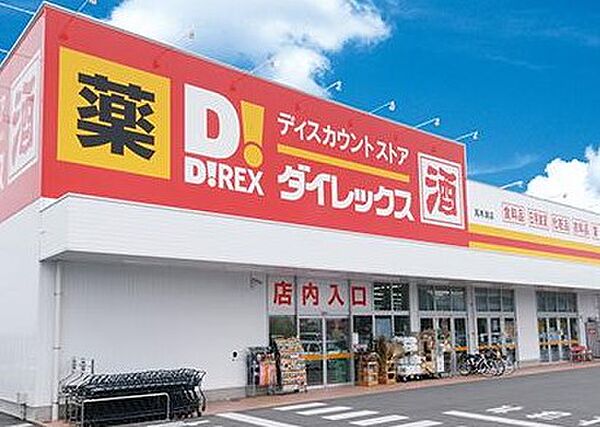 画像23:【ディスカウントショップ】ダイレックス住吉店まで1363ｍ