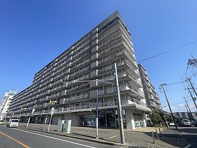 外観 外観