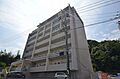 ＲＹＵＯ　ＨＩＬＬＳ